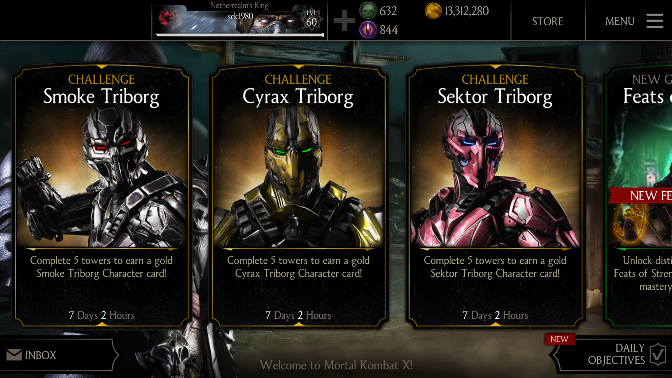 Triborg Challenge