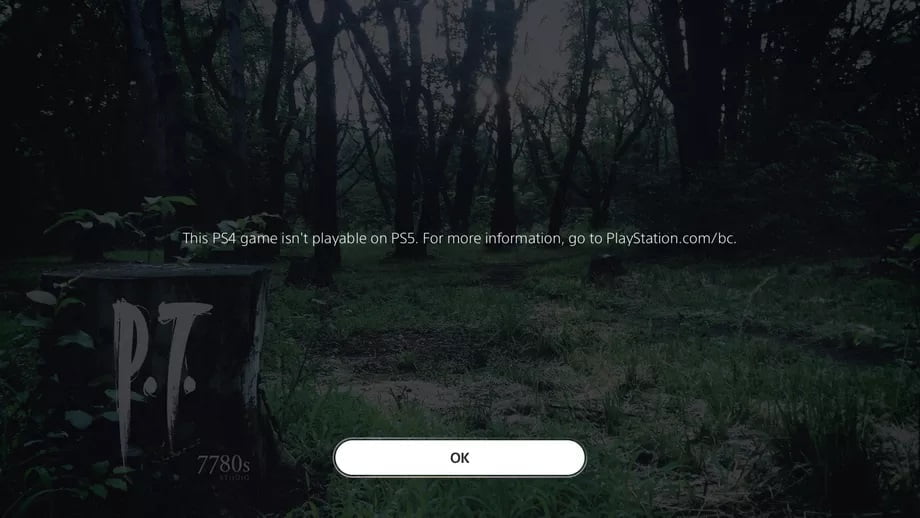 pt-not-supported-playstation-5