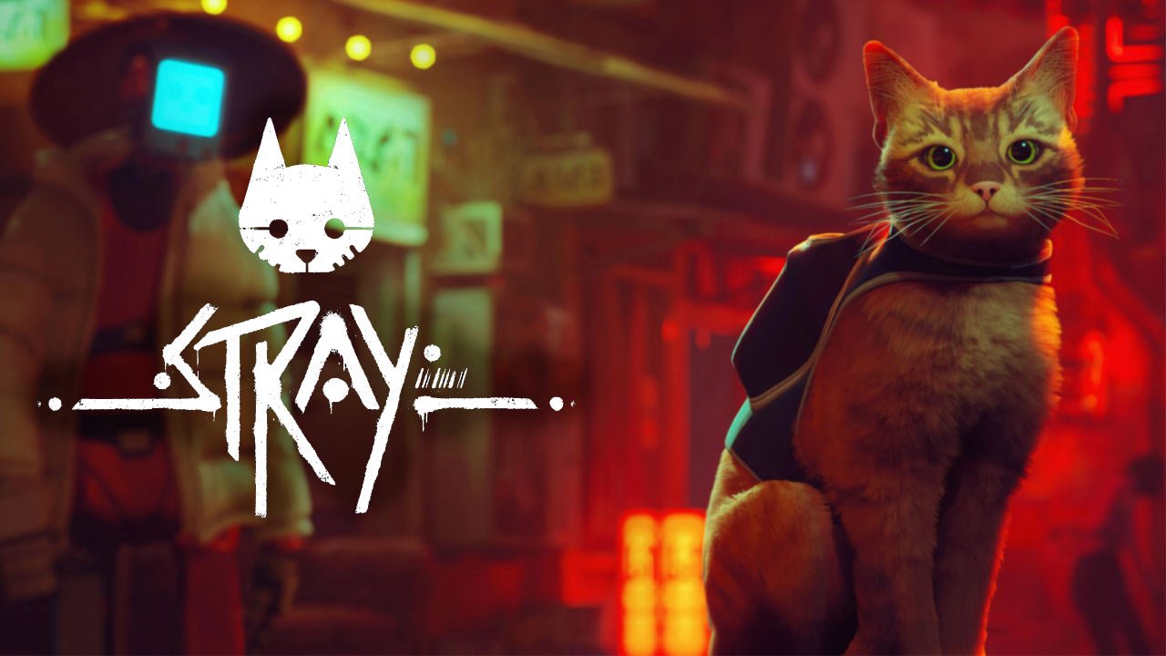 stray nintendo switch