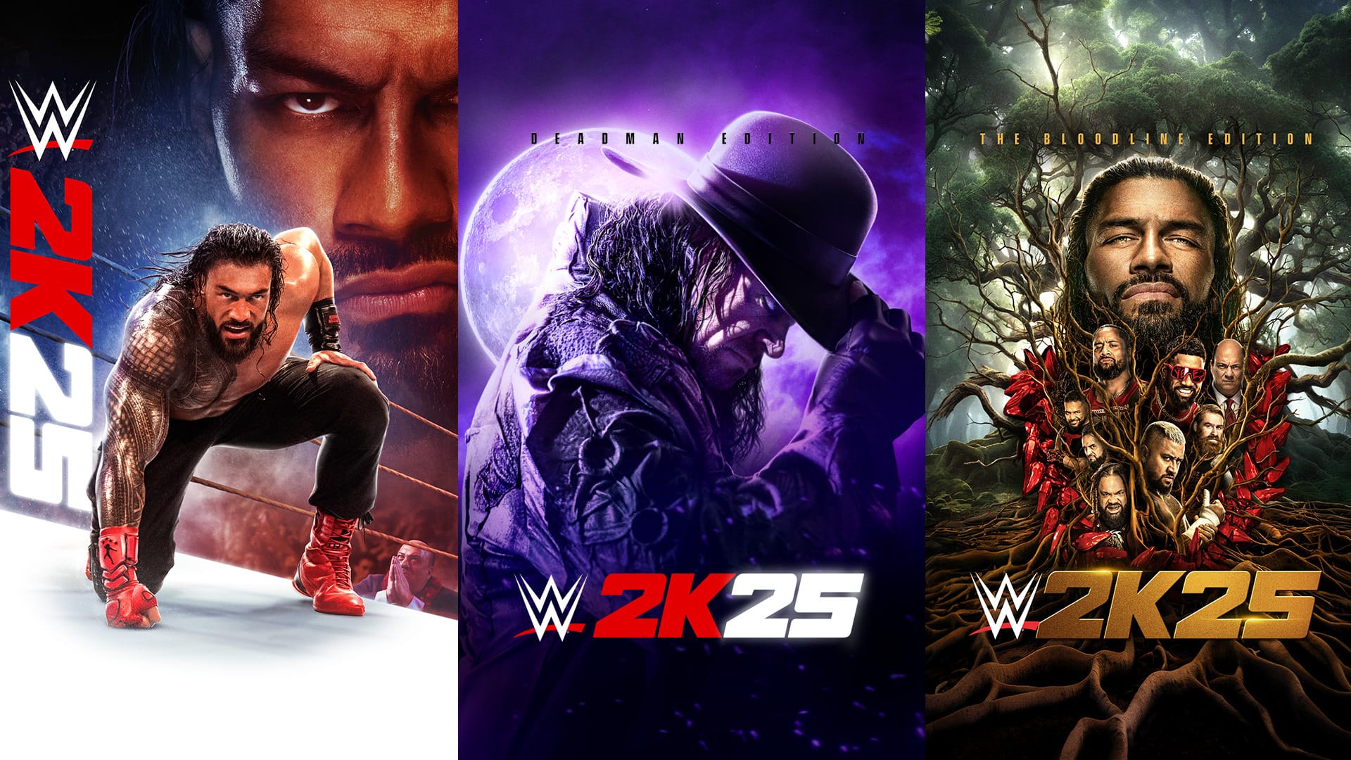 WWE 2K25 Newsroom Header