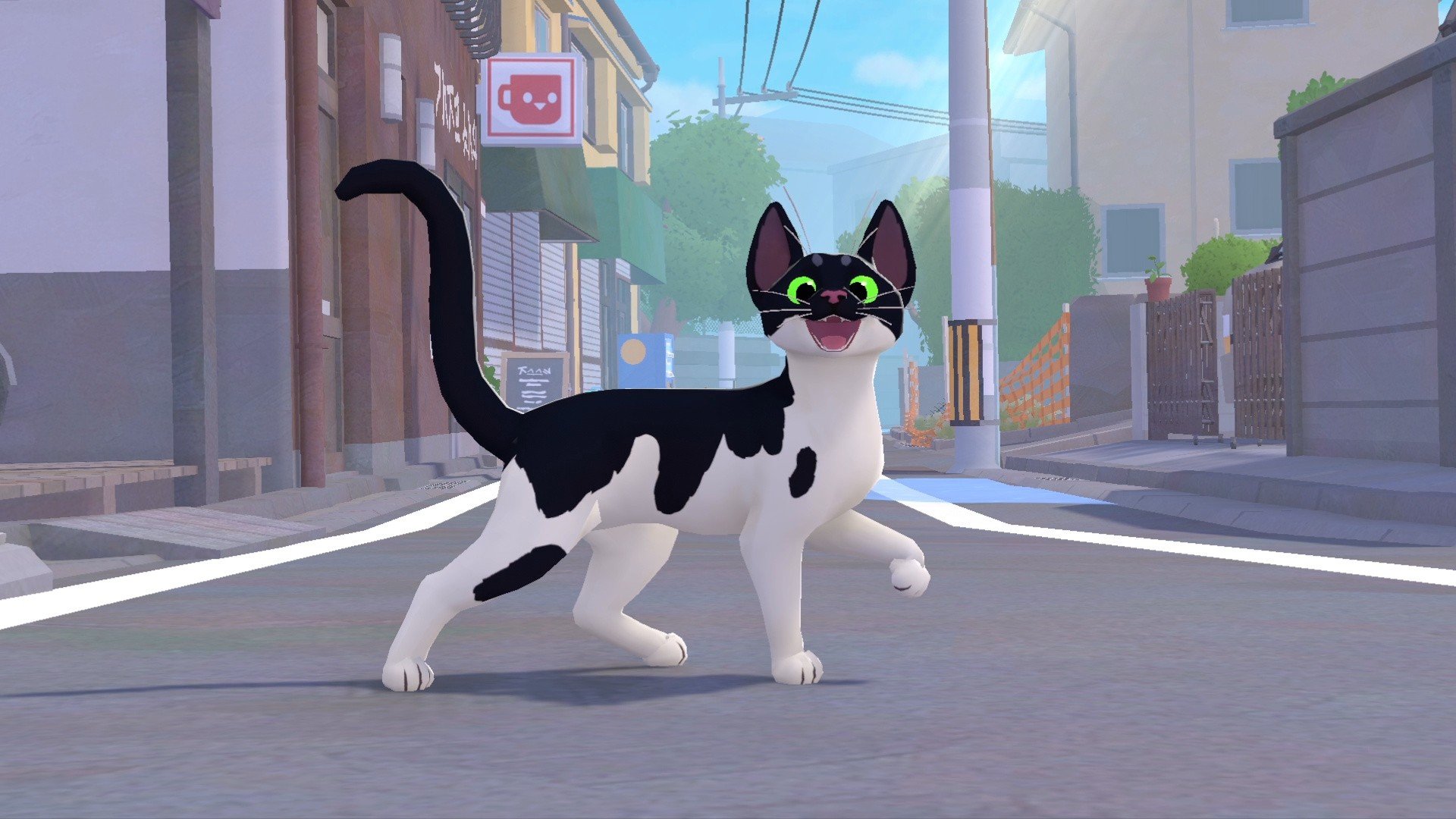 little kitty big city picture purrfect