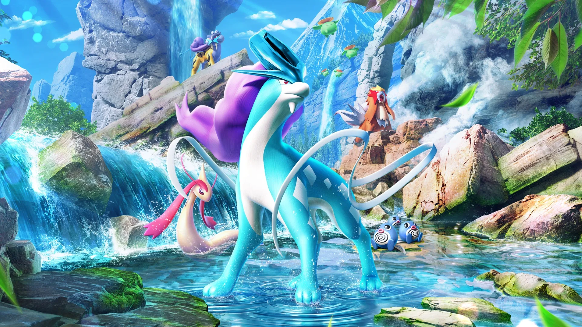 secluded springs pokemon secluded springs
