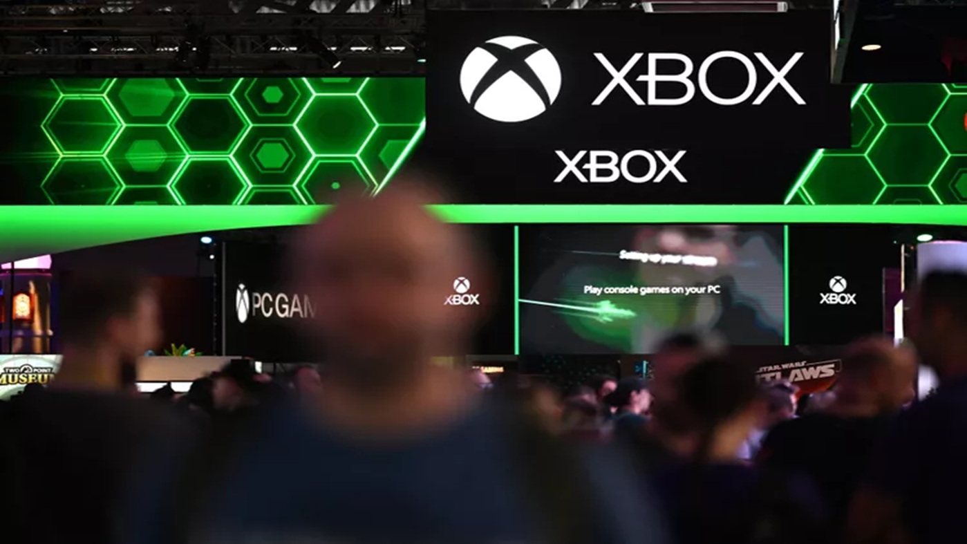 xbox-30%-margain-report