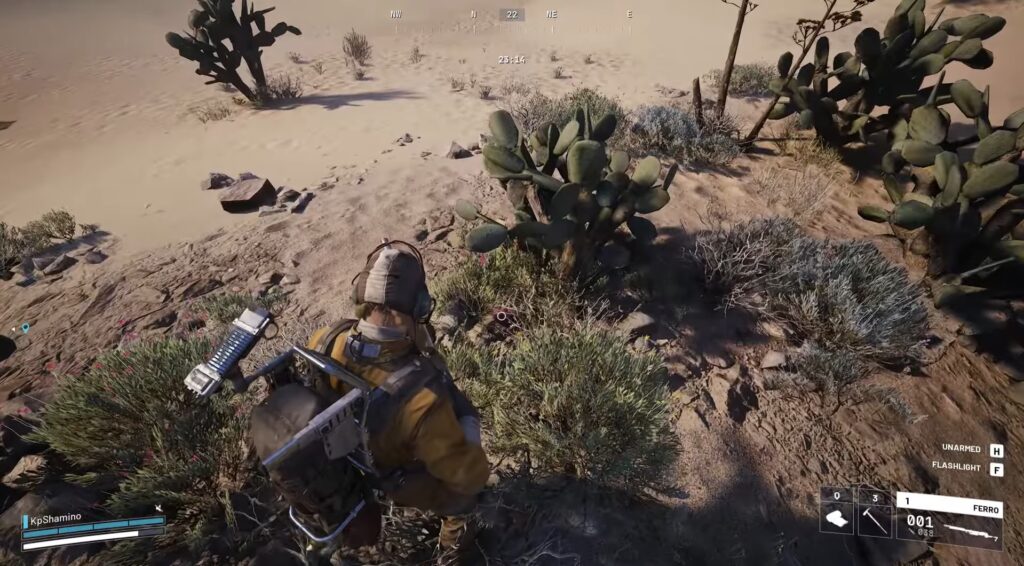 Buried City Cactus spot