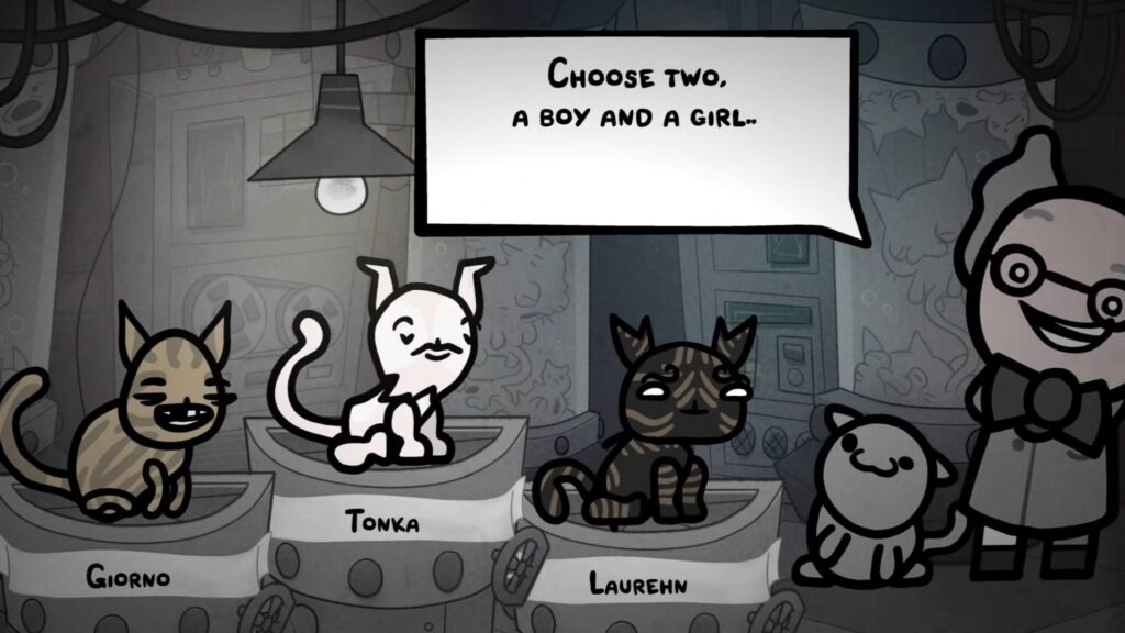 Choosing Cats
