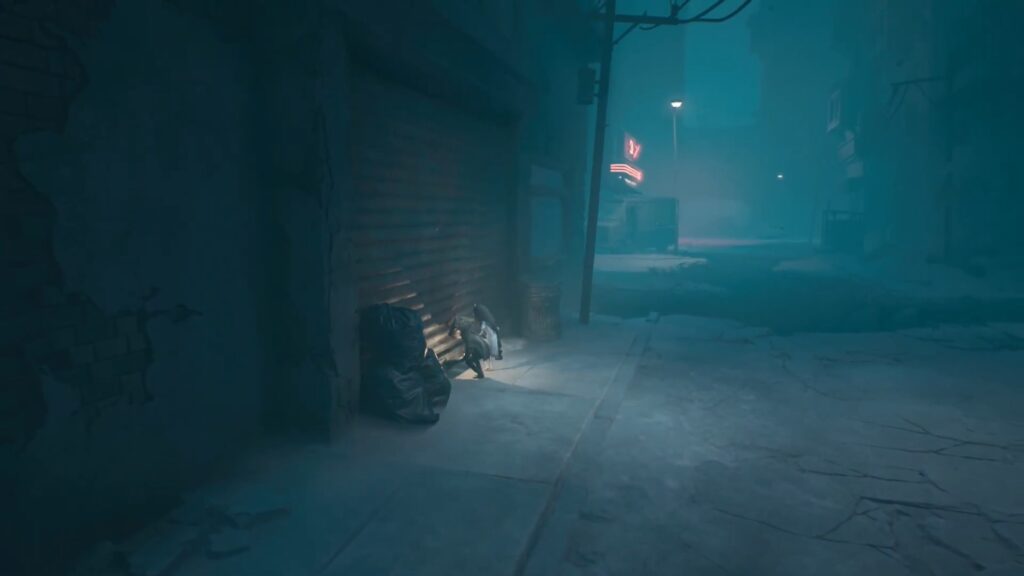 Opening the shutter