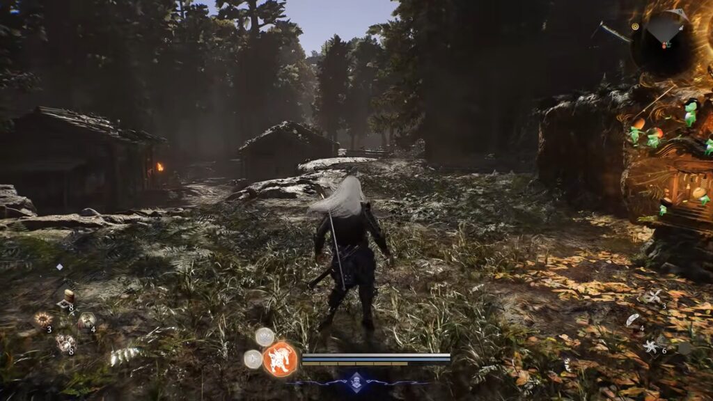 arnor ninja