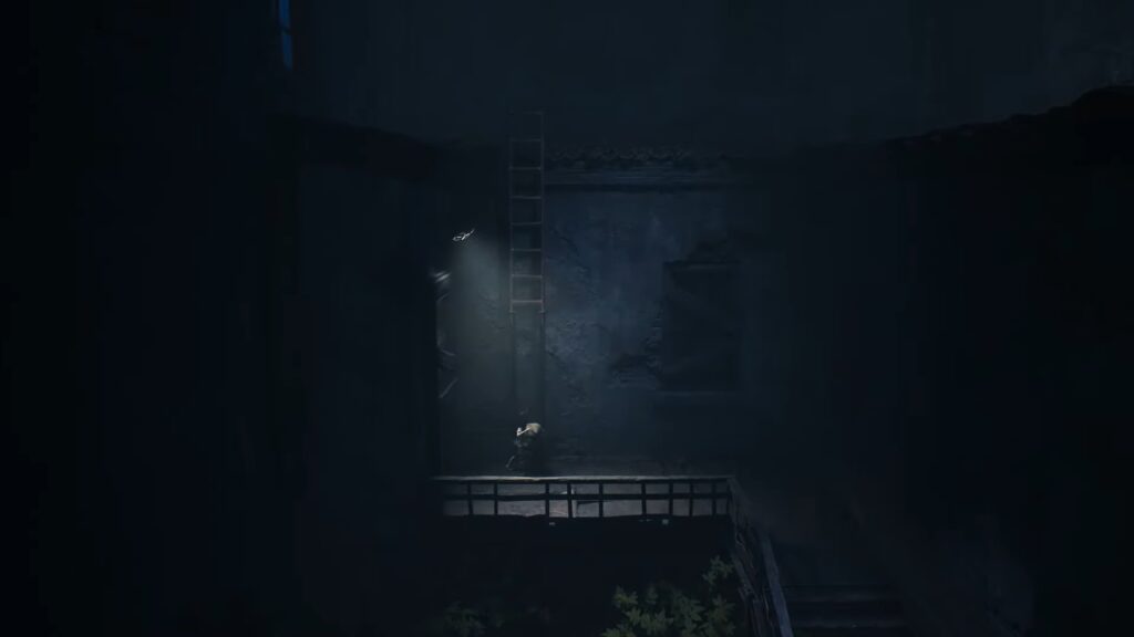 cilmb ladder
