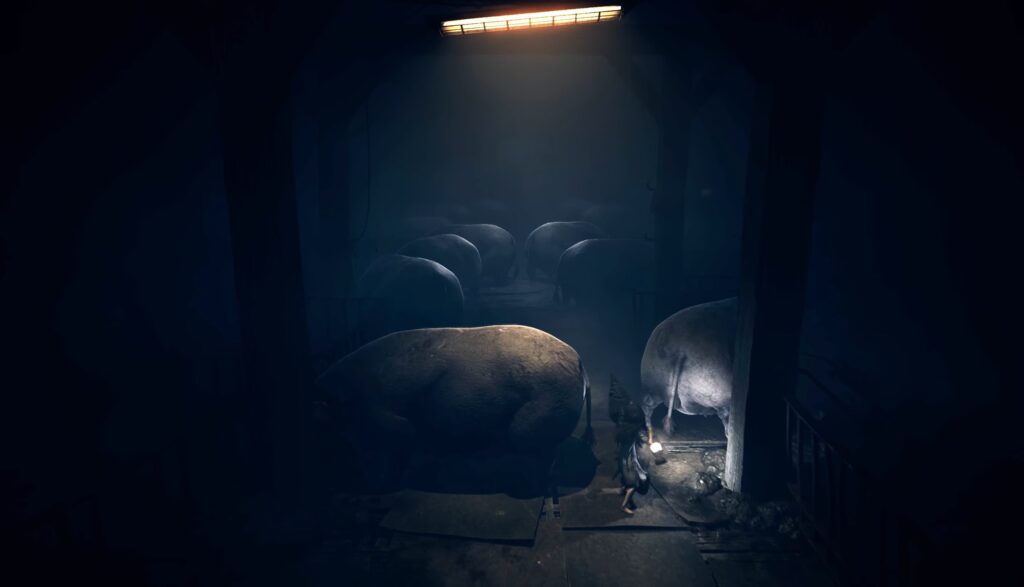 inside barn