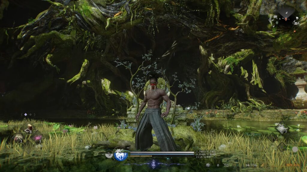 ninja build