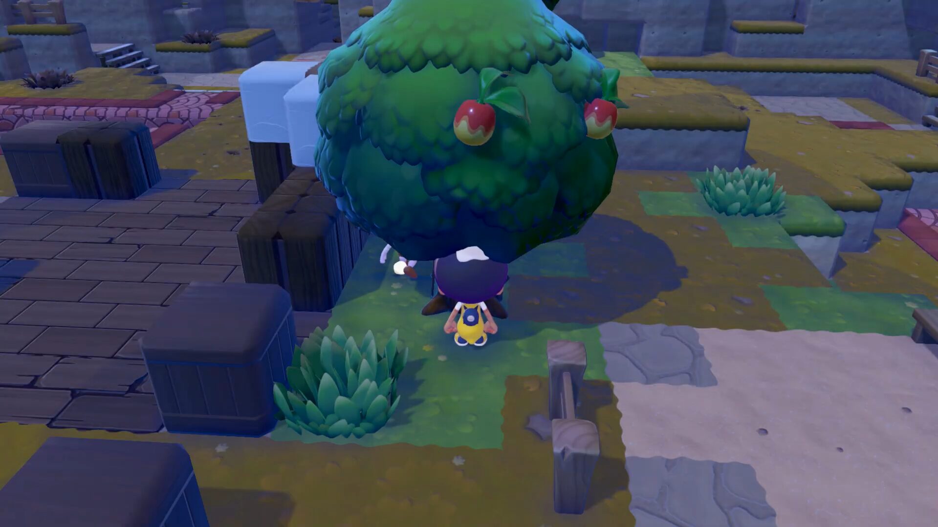 Pokémon Pokopia: How To Get Materials
