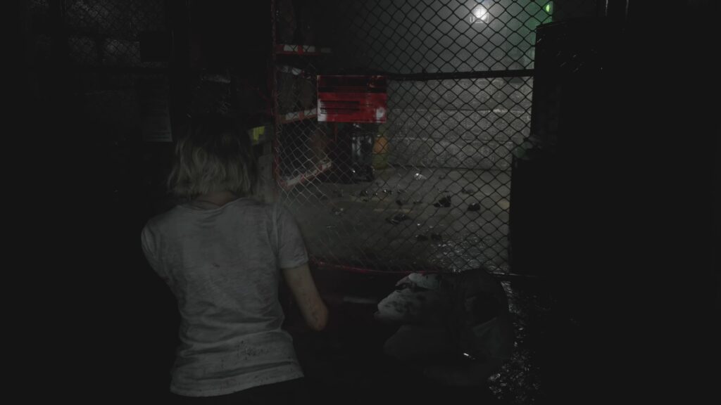getting through fence