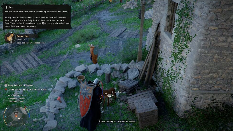 Pets Mechanics