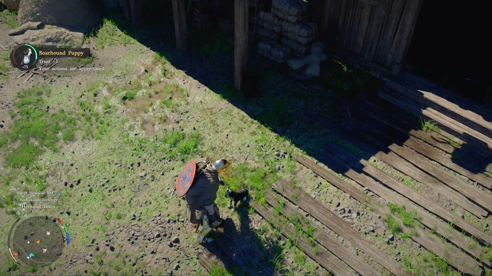 Pet the animals