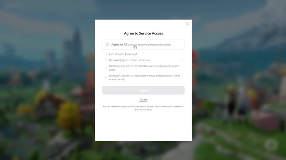 Service Access