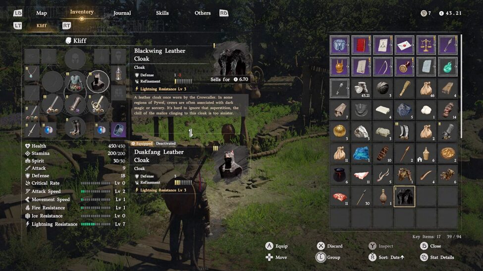 Blackwing Leather Armor