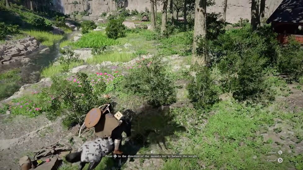 Finding a wild horse