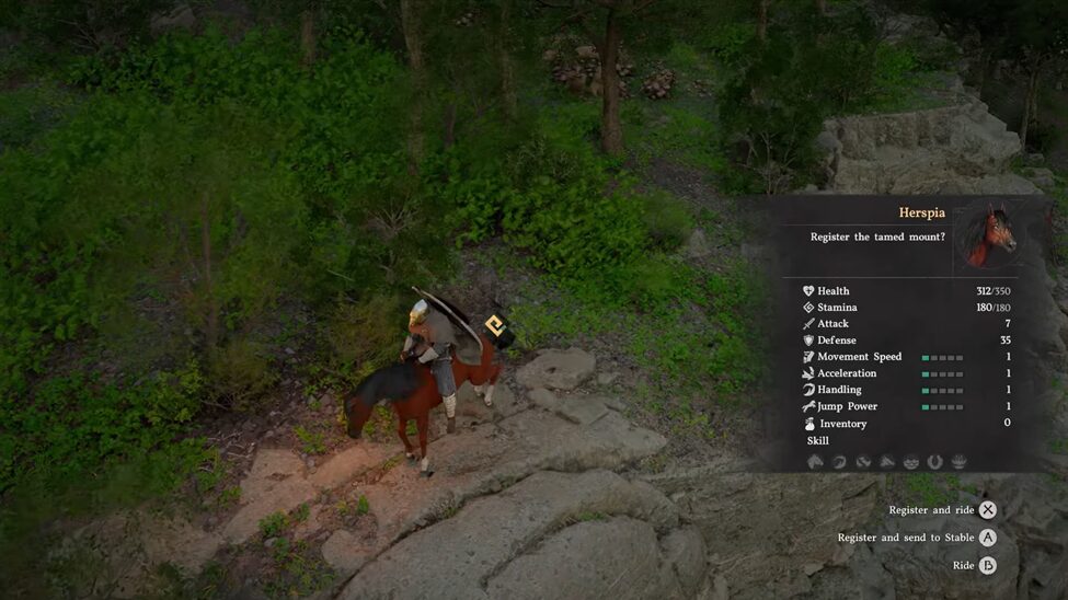 Feeding the horse