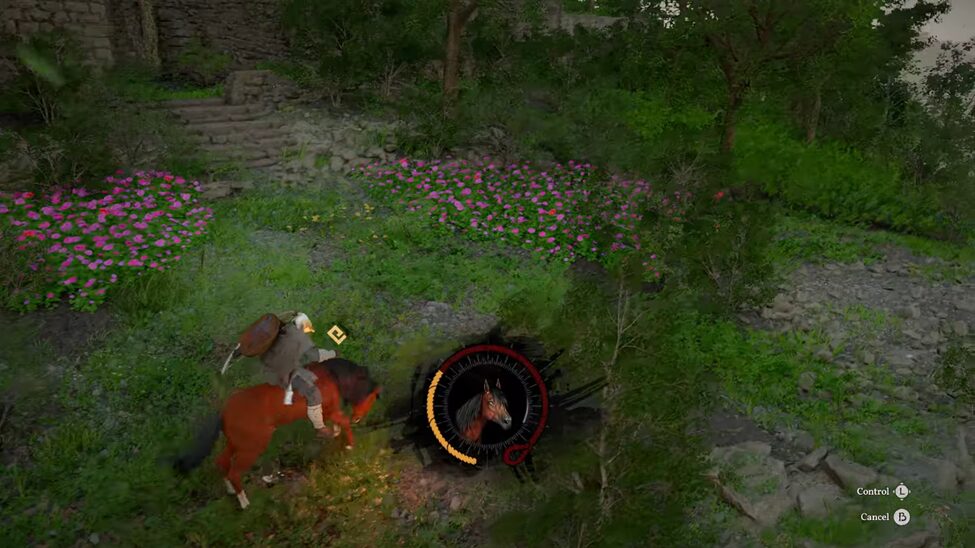 Horse Starting Skills