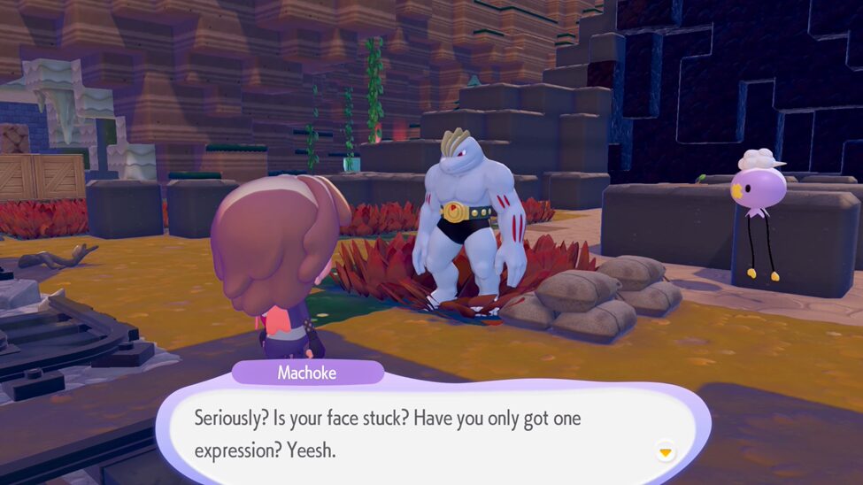 Speak with Machoke