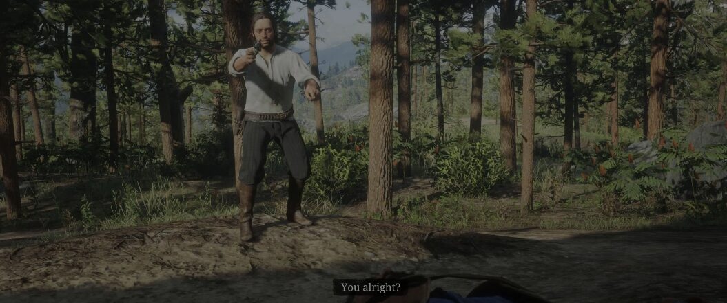 Red Dead Redemption 2 Paying A Social Call