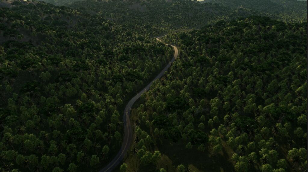 Transport Fever 3 Forests