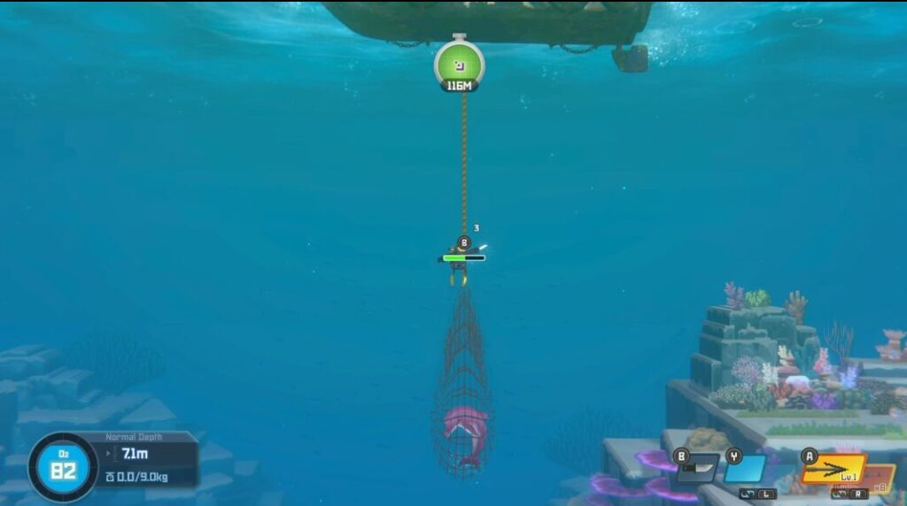 dave the diver rescuing dolphins