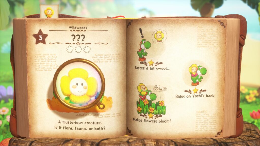 yoshi and the mysterious book review